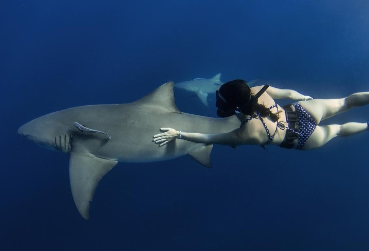 Cientista Mais Sexy Do Mundo Esconde Os P S Em Foto Ap S Ass Dio De Fetichistas