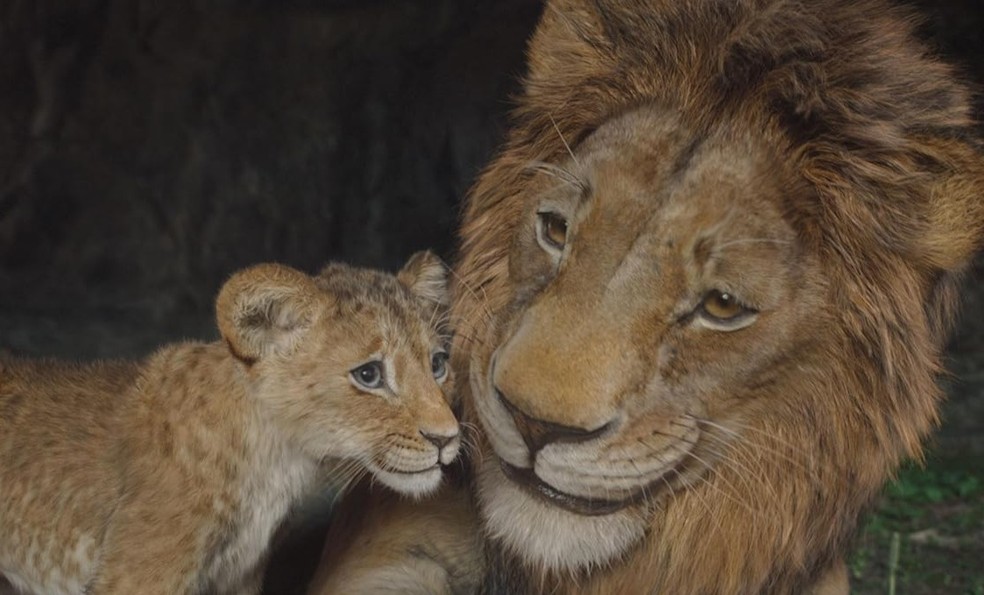 O filme 'Mufasa: O Rei Leão' — Foto: Divulgação