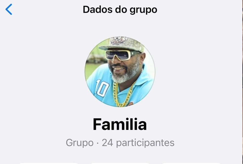 O grupo do Whatsapp dos herdeiros de Catra — Foto: Arquivo pessoal