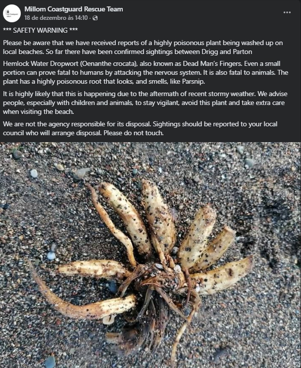 Postagem no facebook feito pela Millom Coastguard Rescue Team avisa dos perigos da planta prego-do-diabo &mdash; Foto: Reprodu&ccedil;&atilde;o/Facebook