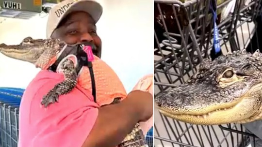 Cliente é proibido de levar jacaré de 'apoio emocional' a supermercado