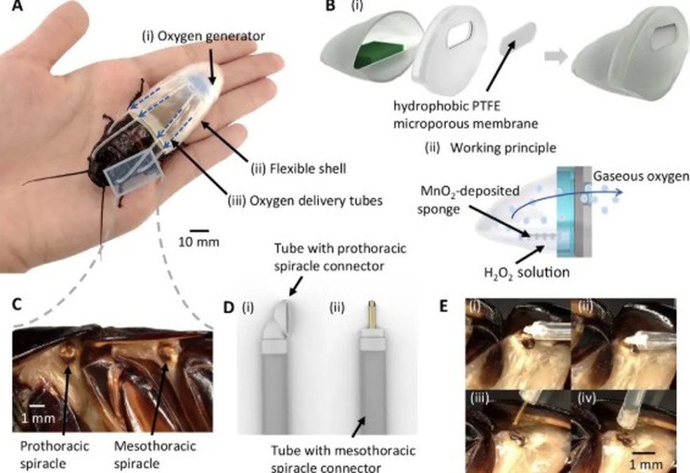 Pesquisadores abasteceram o traje com uma mistura de peróxido de hidrogênio e dióxido de manganês, que reagem para produzir oxigênio (O2) absorvível — Foto: Reprodução
