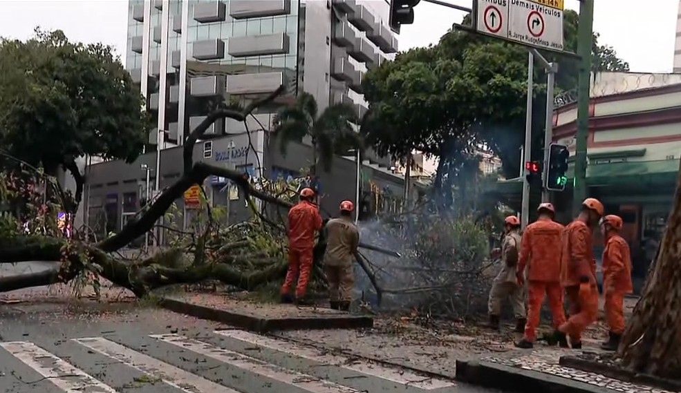 Queda de árvore de grande porte em Vila Isabel provoca bloqueios no Boulervard 28 de Setembro