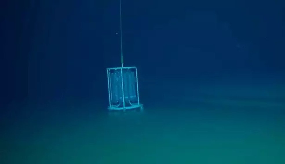Imagem ilustrativa sobre Estudo revela ‘piscinas da morte’ do Mar Vermelho