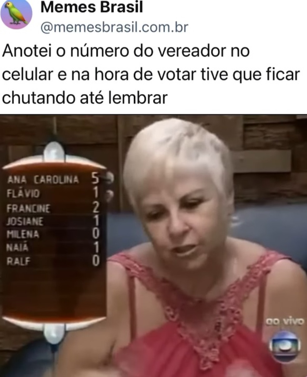 Eleições 2024 rendem memes na web — Foto: Reprodução/Redes sociais