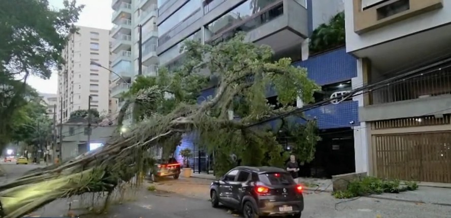 Árvore cai na Fonte da Saudade durante ventania no Rio