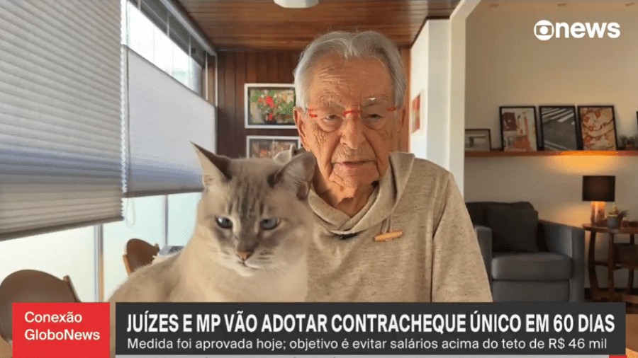 Sucesso ao vivo, gata de Gabeira tem perfil com milhares de seguidores; conheça Renata