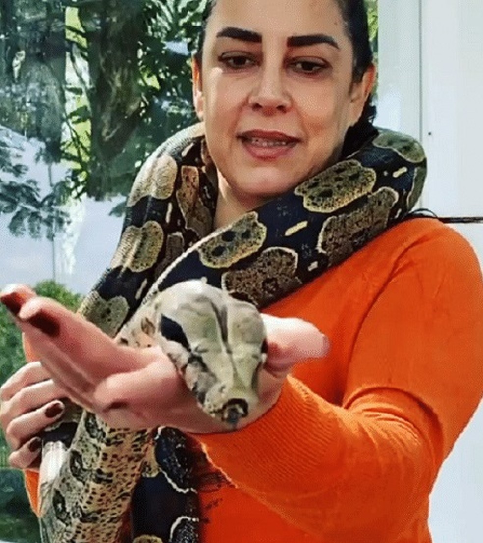 Silvia Abravanel relembra ataque que sofreu de cobra que cria — Foto: Reprodução/Instagram