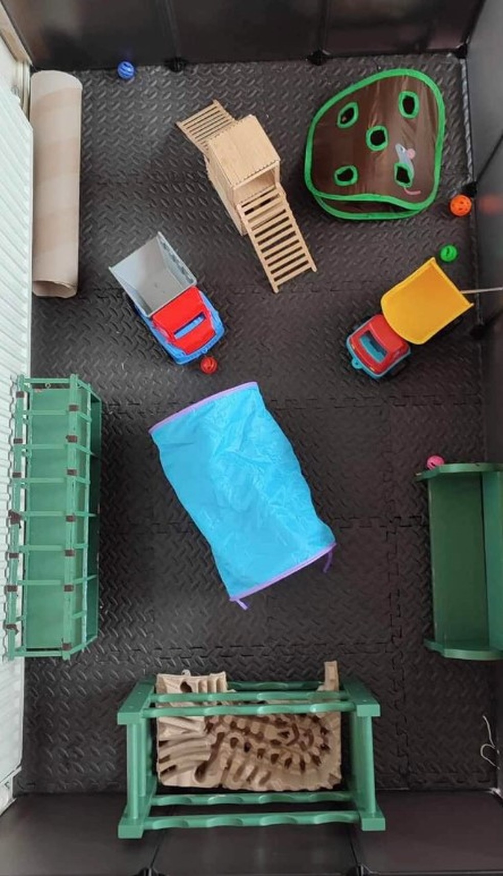 Acomoda&ccedil;&atilde;o em 'hotel' para ratos na Inglaterra &mdash; Foto: Reprodu&ccedil;&atilde;o/Facebook