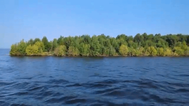 Ilha gigante cheia de plantas 