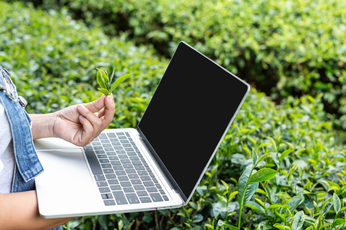 Da Natureza para a Tecnologia: Invenções Geniais Inspiradas em Animais, Plantas e Fungos