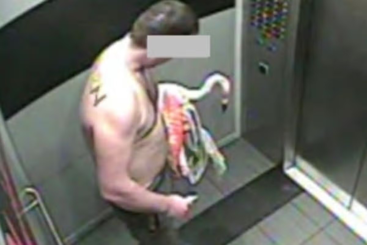 Turista pode pegar até quatro anos de prisão após beber 40 cervejas e sequestrar flamingo de hotel em Las Vegas