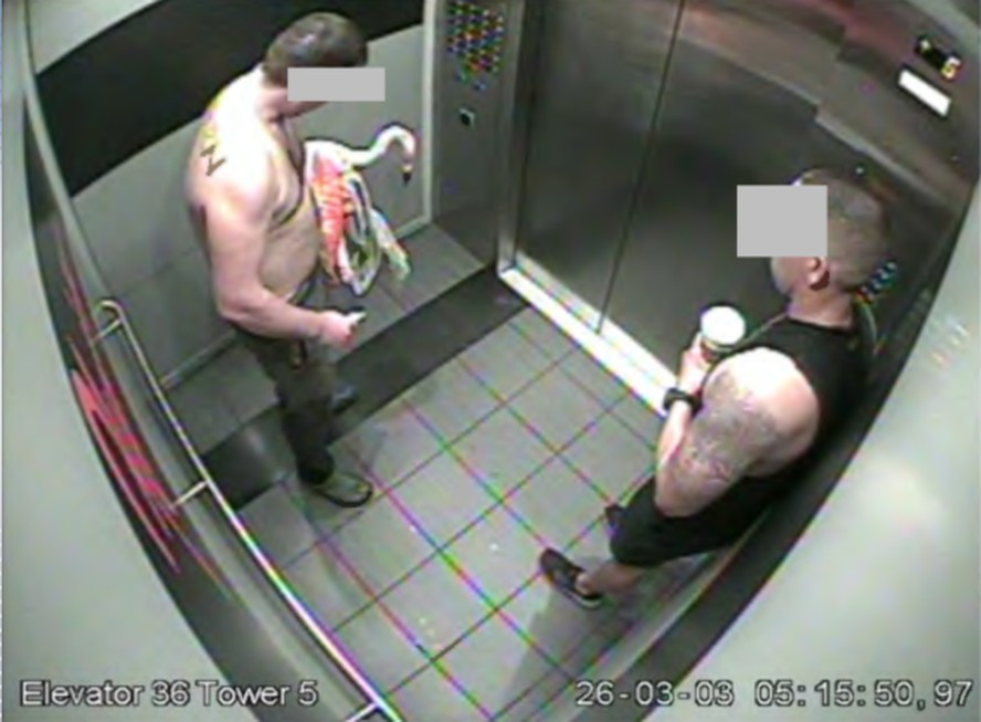 Canadense de 33 anos enfrenta acusações de crueldade animal após roubo de Flamingo em Las Vegas