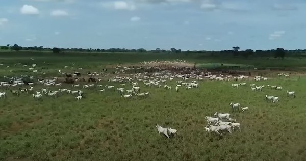 Fazendas de Amado Batista — Foto: rep/ instagram e youtube