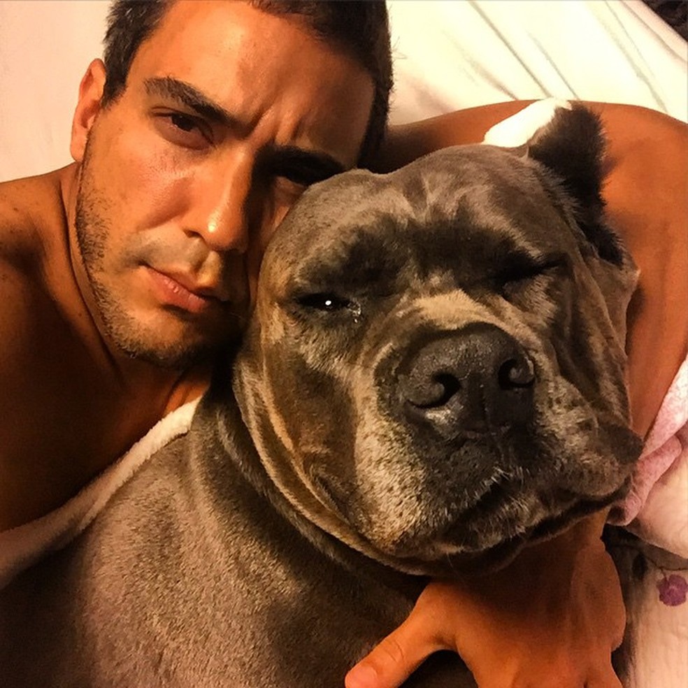 Andre Marques e sua cachorra Gorda, que morreu em julho de 2024 — Foto: Reprodução de Instagram