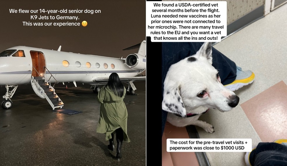 Emily e Luna viajaram dos EUA para a Alemanha num jatinho Foto: Reprodu��o/TikTok