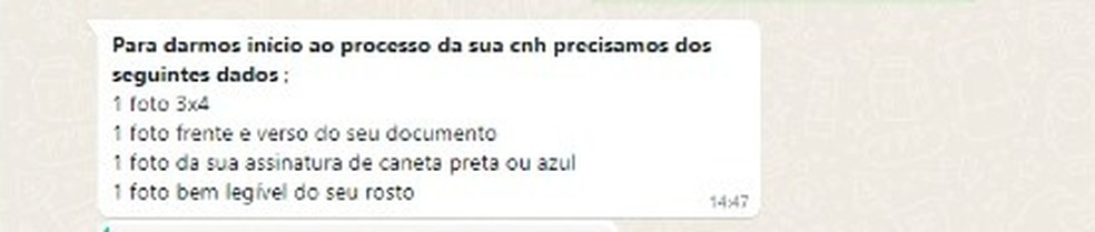 Mensagem enviada pelo atendente de uma página que oferece CNH — Foto: Reprodução/WhatsApp