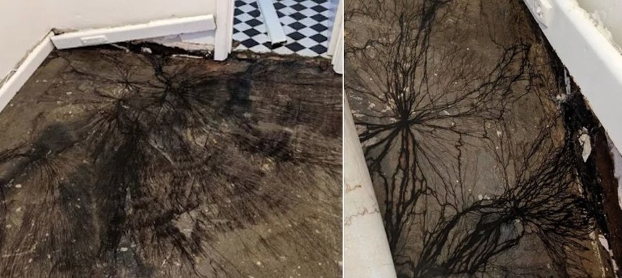 Mulher remove piso de madeira e descobre bizarras 'teias' em casa na Austr&aacute;lia