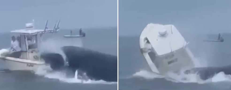 Baleia-jubarte salta e vira barco de pesca nos EUA &mdash; Foto: Reprodu&ccedil;&atilde;o
