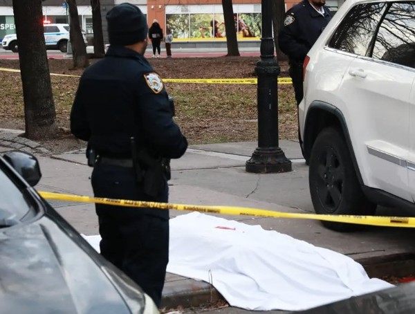 Pitbull morto por policial no Bronx — Foto: Reprodução
