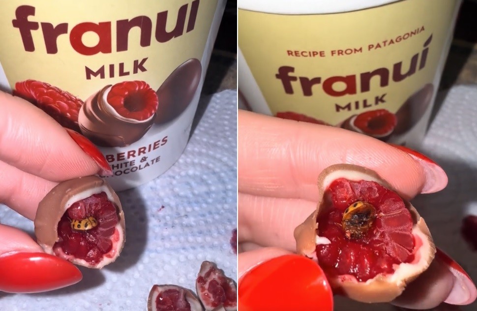 Mulher encontra inseto dentro de doce de framboesa com chocolate