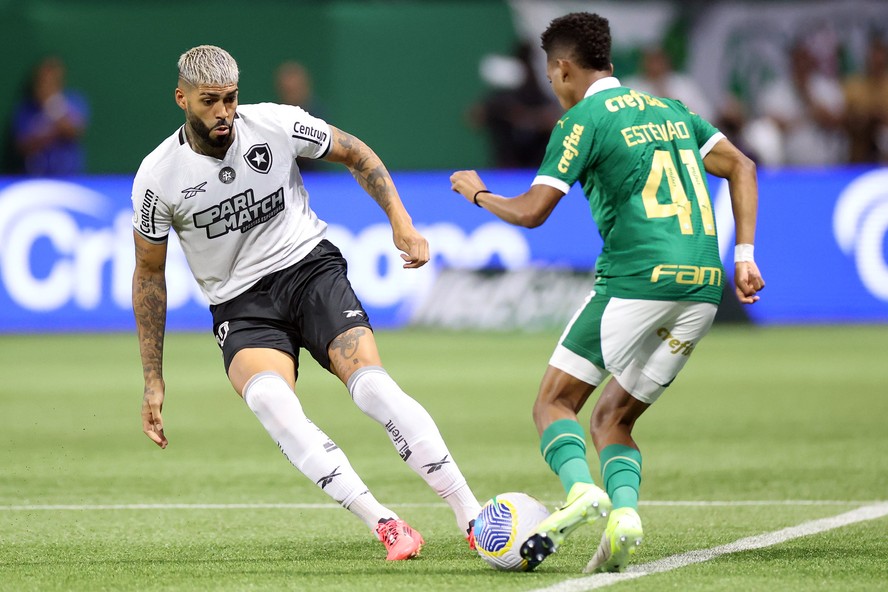 Botafogo recebe o Palmeiras em revanche após Mundial; veja o que mudou ...