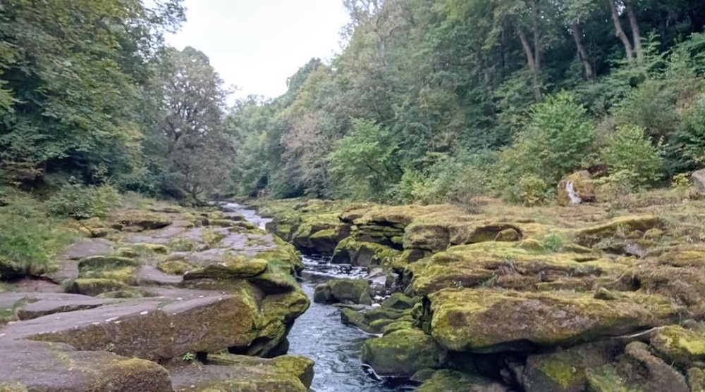 Parece tranquilo, mas... Conheça Bolton Strid, o 'rio mais perigoso' do ...