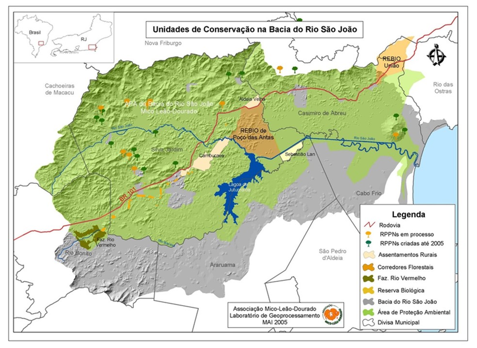 Enriquecimento ambiental. Área de atuação do projeto de reintrodução de 62 mil epífitas em 150,25 hectares de áreas reflorestadas  — Foto: Divulgação/AMLD