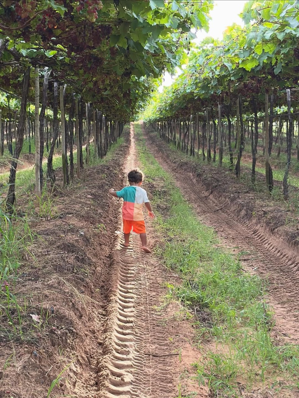 João Gomes com o filho na sua fazenda de uva, em Petrolina — Foto: Reprodução/Instagram