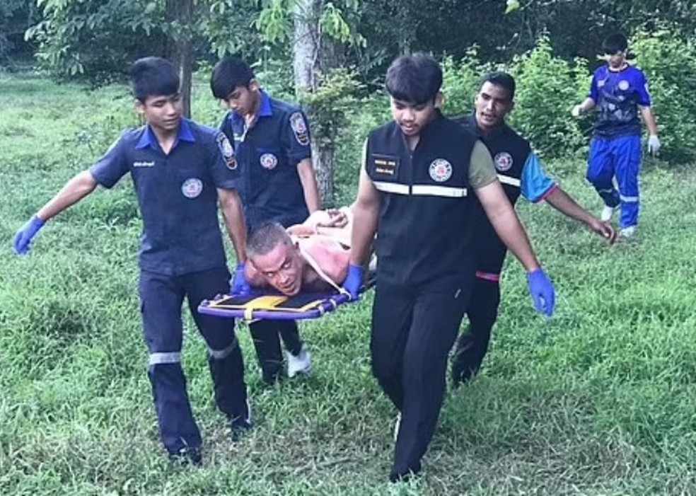 Evgenii Kuvshinov e levado de mata na Tail&acirc;ndia ap&oacute;s tentar abusar sexualmente de vaca &mdash; Foto: Reprodu&ccedil;&atilde;o
