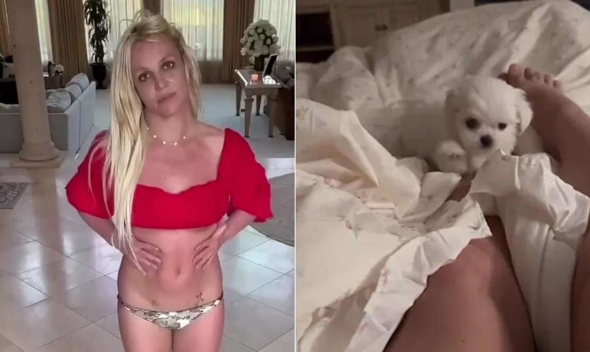 Britney Spears wird von NGO wegen Tierschutzes kritisiert, nachdem sie neuen Welpen zur Schau gestellt hat: „Tierheim beobachtet Krise“ |  Musik