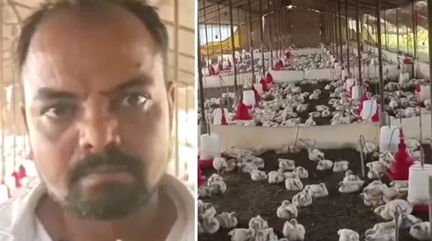 Fazendeiro acusa DJ de casamento de matar 140 galinhas com som muito alto