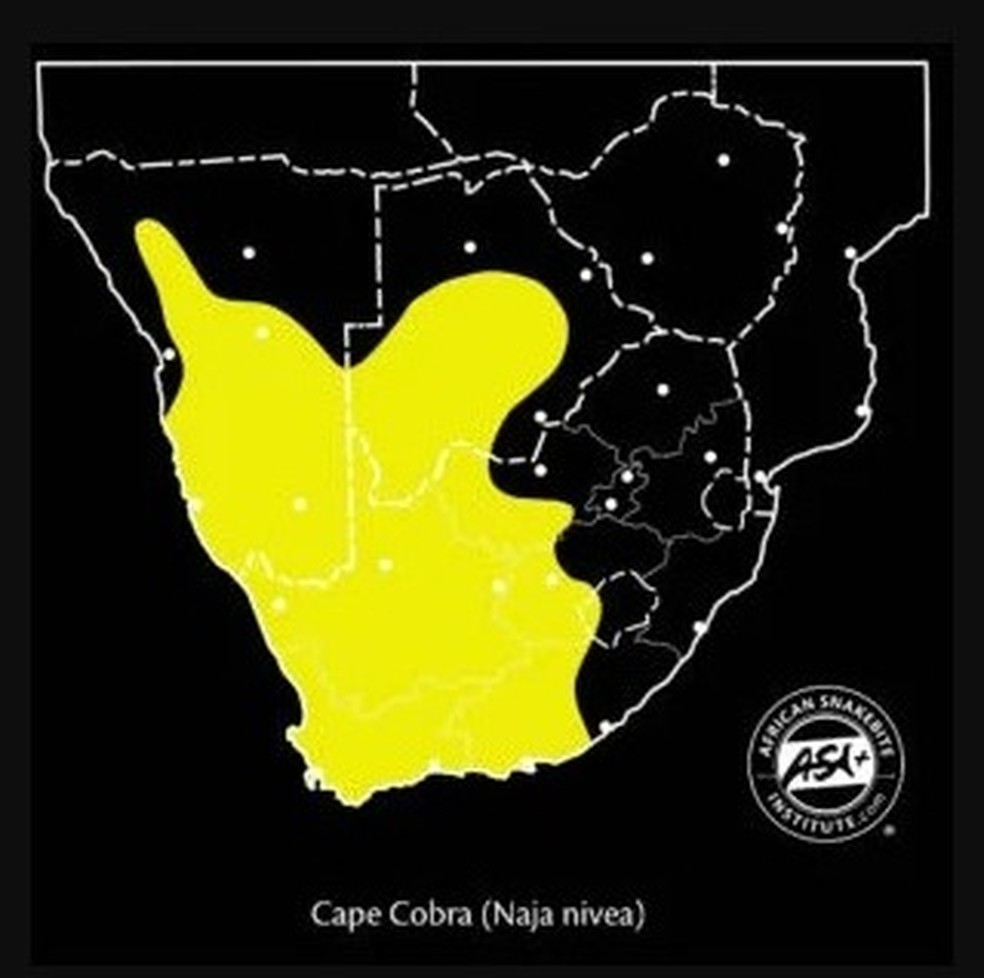 Incidência da Naja Nivea na África do Sul — Foto: Reprodução / African Snakebite Institute