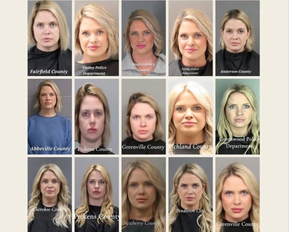 Pamela Brooke Schronce em 15 dos seus 16 mugshots (fotos de fichamento na polícia) em pouco mais de três meses — Foto: Reprodução/Facebook