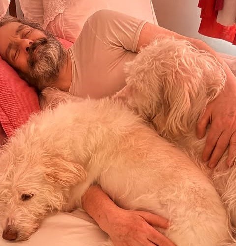 Letícia Sabatella mostra o marido acordando com os cães recuperados após briga na Justiça; vídeo - QTU Questões do Universo