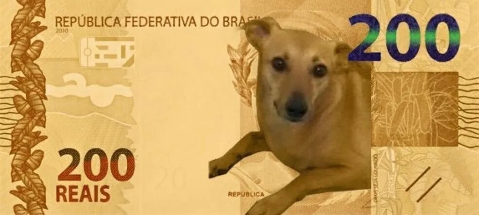 A cédula de R$ 200 com o cão caramelo, montagem feita pela internet — Foto: Reprodução