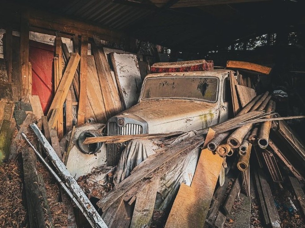 Exploradora encontra 'tesouro' de 50 carros antigos escondidos em floresta — Foto: Reprodução/Instagram