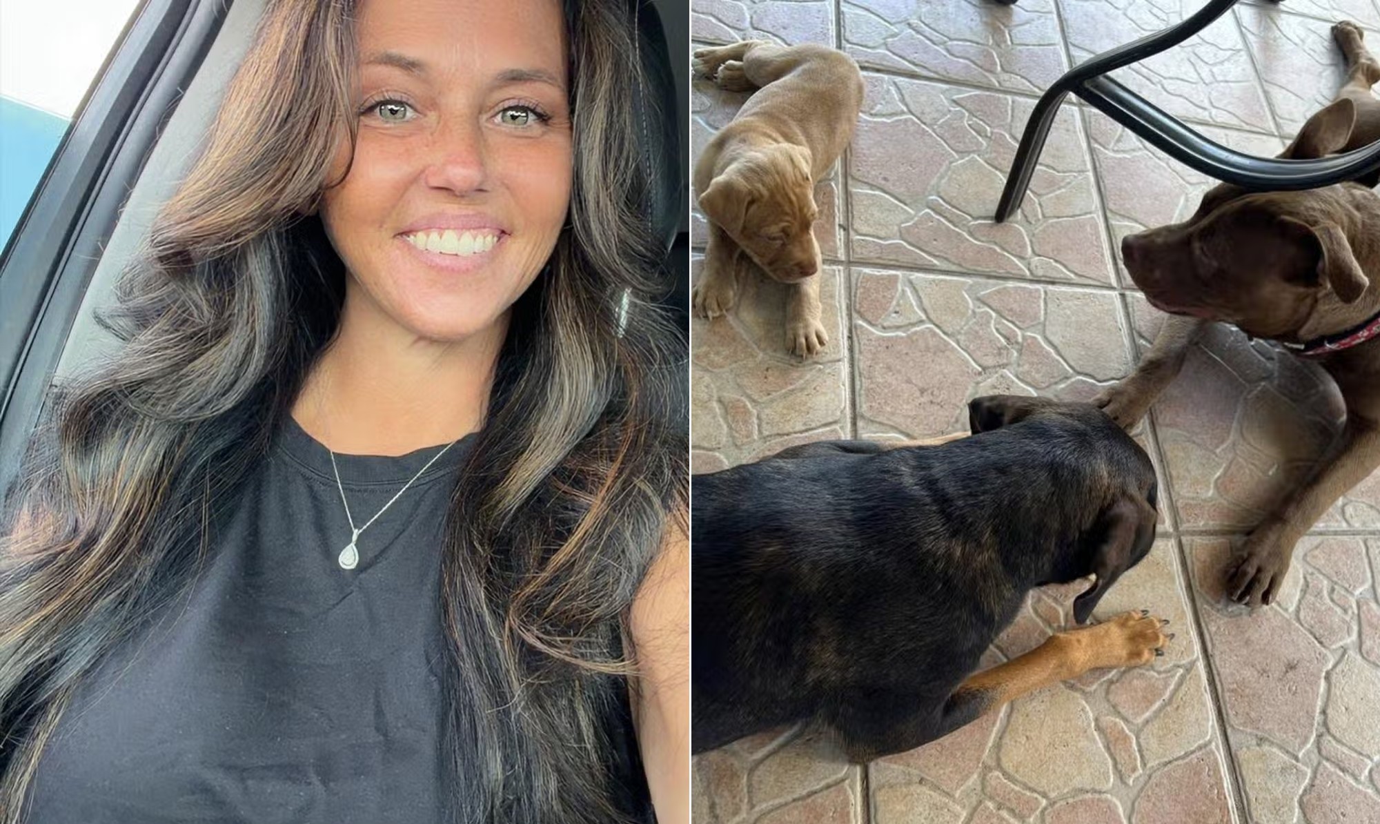 Mulher acusada de zoofilia faz sucesso nas redes, e família cria vaquinha para ajudá-la em processo após flagra do marido