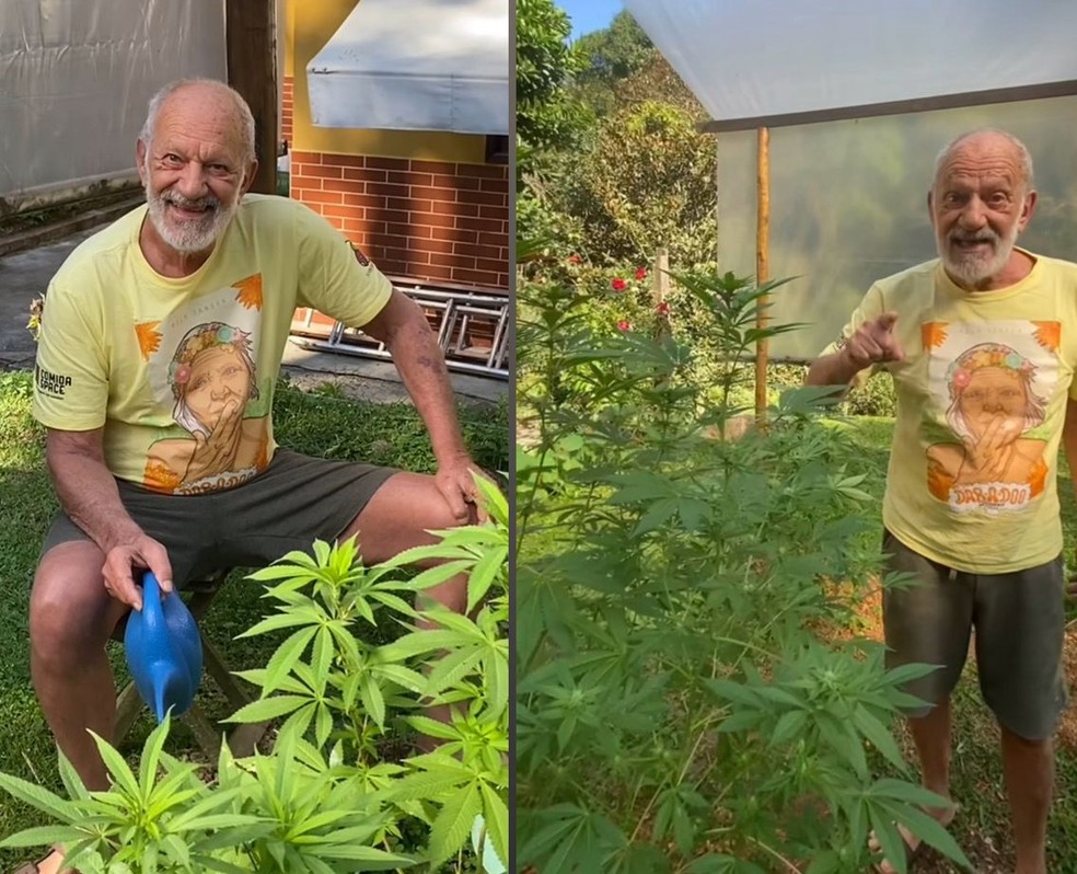 Ator mostra plantação enorme de cannabis em seu sítio para 'consumo próprio' — Foto: Instagram