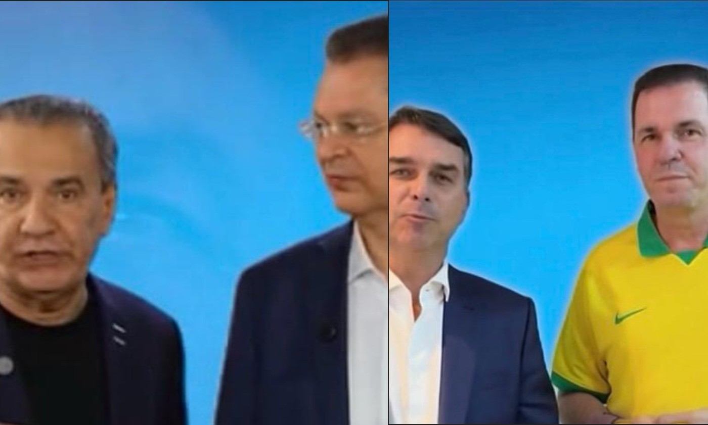 Último dia de horário eleitoral teve bichos à solta: cachorro, gato e... 'papagaios de pirata'