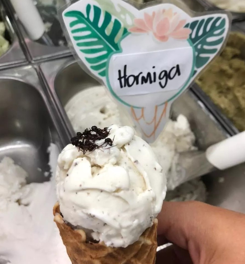 Sorvete de formiga — Foto: Instagram/@tallernaichi