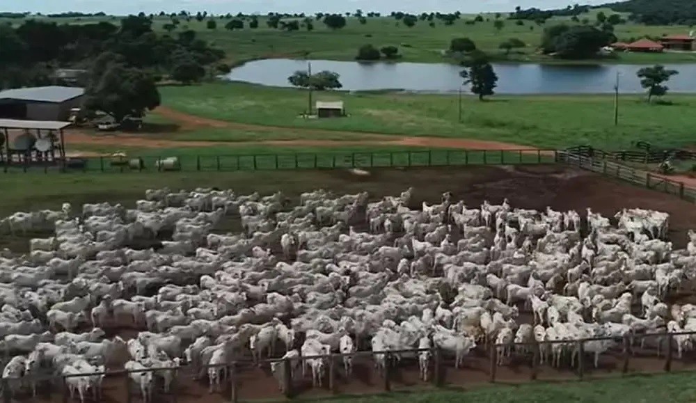Fazendas de Amado Batista — Foto: rep/ instagram e youtube