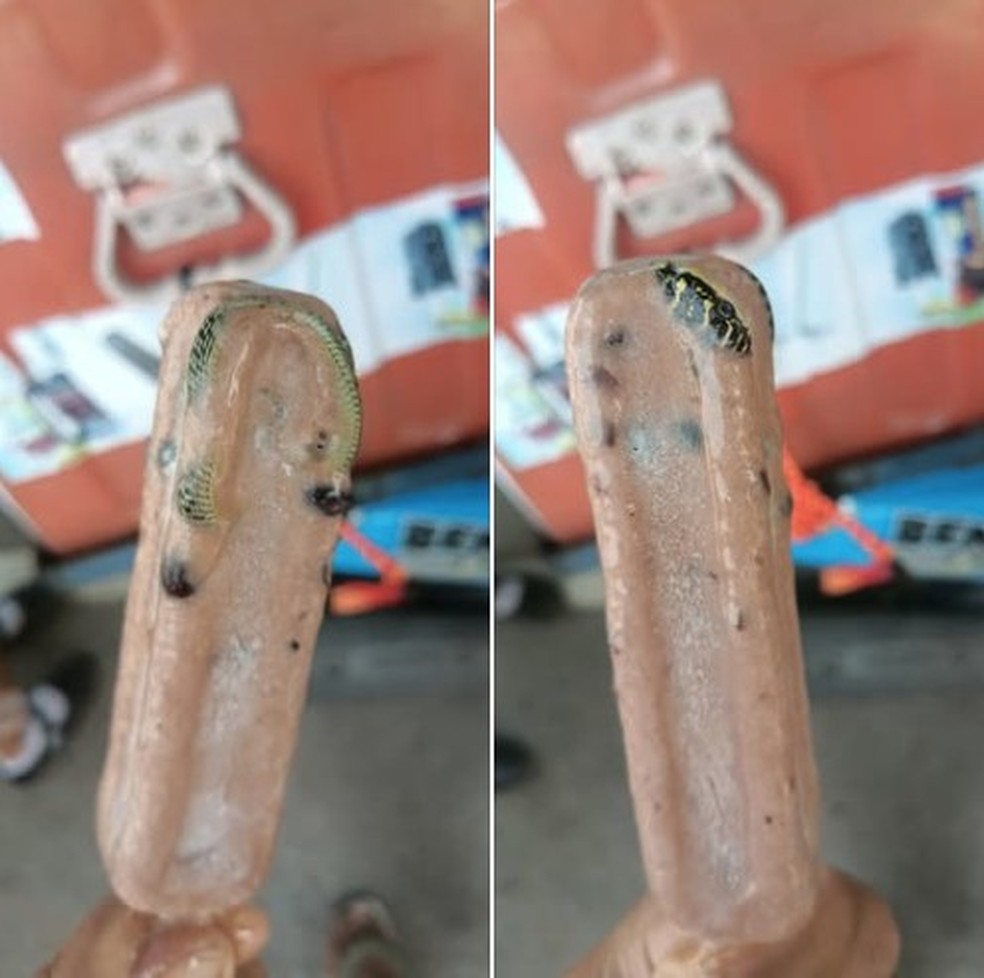 Homem encontra cobra venenosa em picol&eacute; na Tail&acirc;ndia &mdash; Foto: Reprodu&ccedil;&atilde;o/Facebook