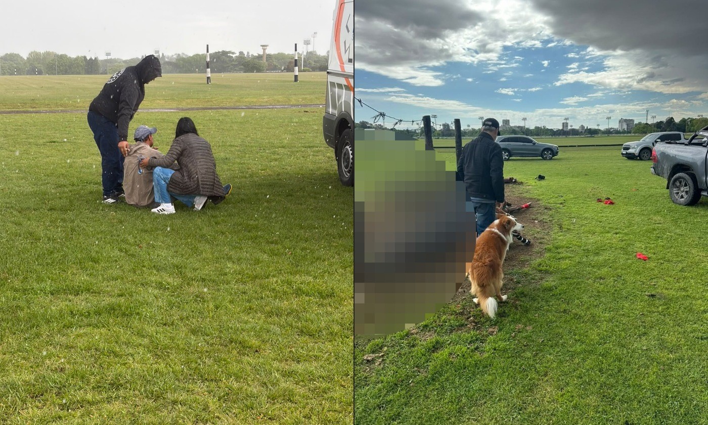 Raio atinge e mata cavalos durante treinamento de polo na Argentina