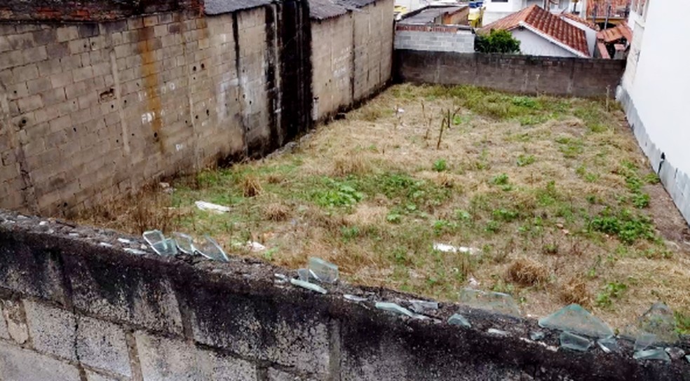 Reprodu&ccedil;&atilde;o de como seria a criatura, de acordo com as principais testemunhas, exibida no Memorial do ET, em Varginha &mdash; Foto: &Eacute;lcio Braga