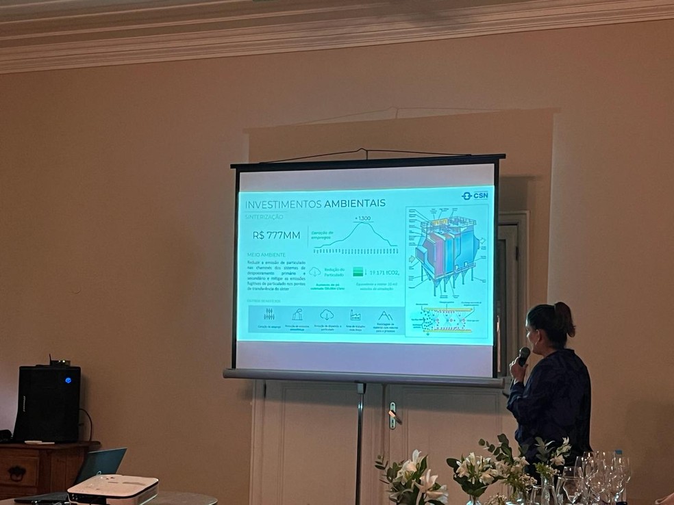 Diretora de sustentabilidade falou sobre os trabalhos para modernização da cadeia produtiva da siderúrgica  — Foto: Divulgação