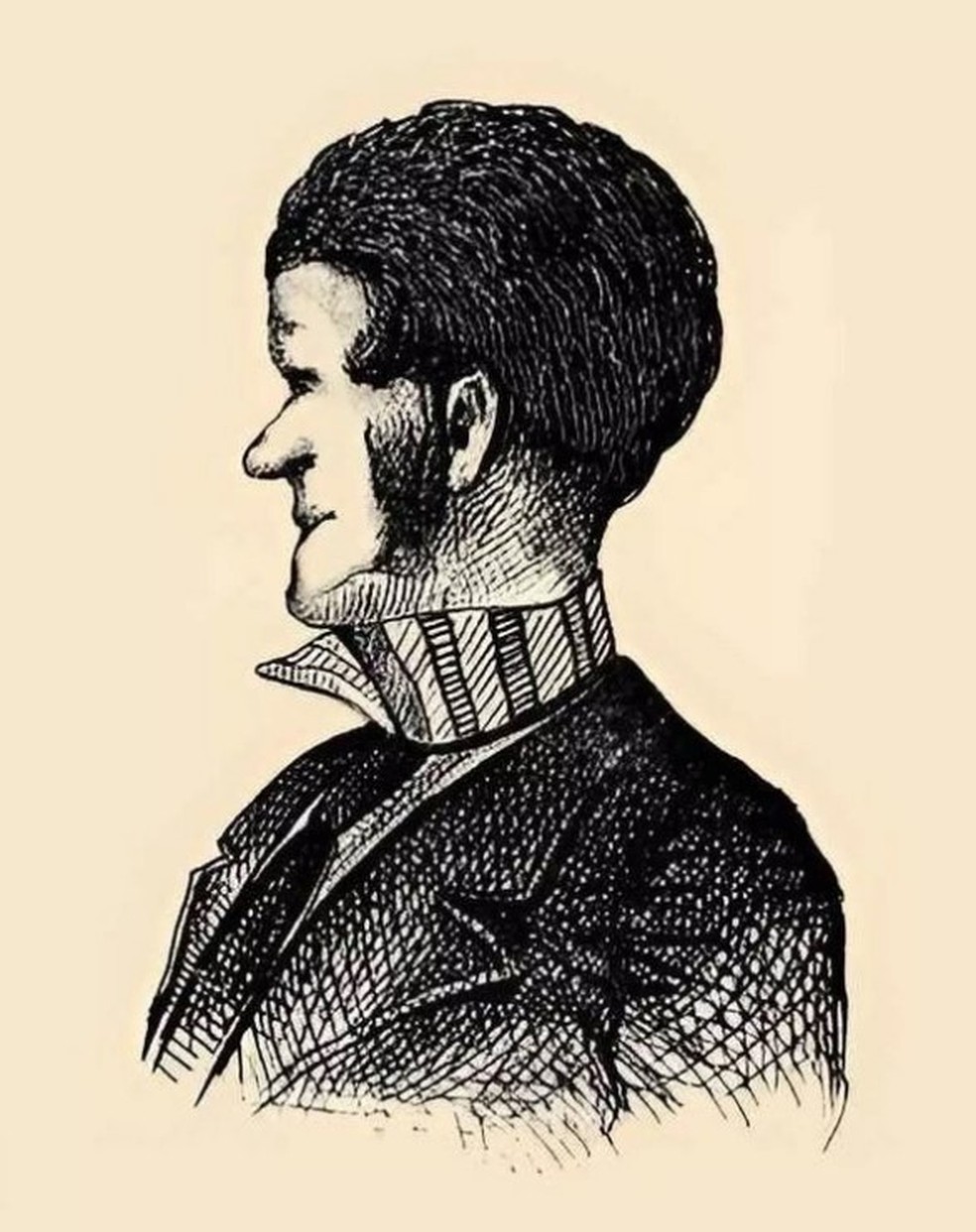 Desafio óptico viral: o que você vê na figura? — Foto: Reprodução