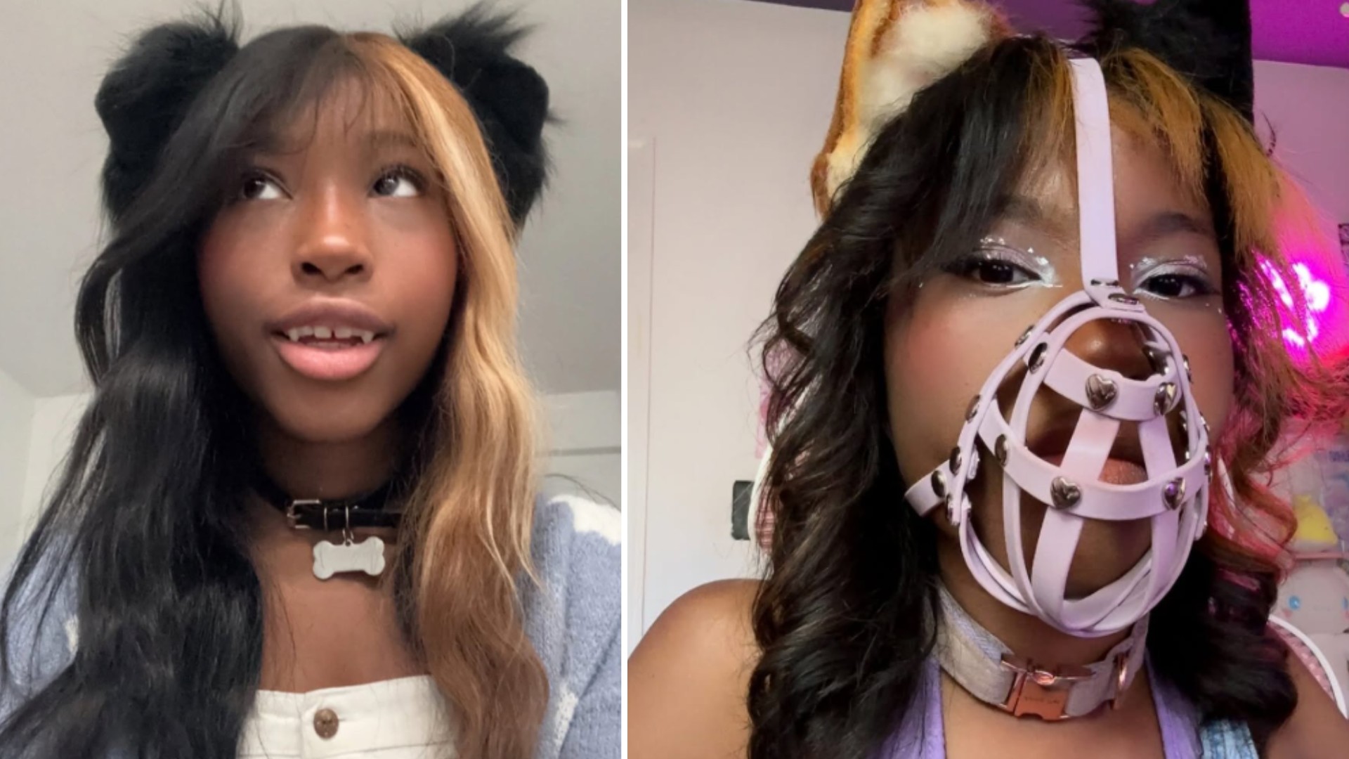 Jovem Americana Vive como Lulu da Pomerânia e Choca a Web - estilo de vida news from Extra