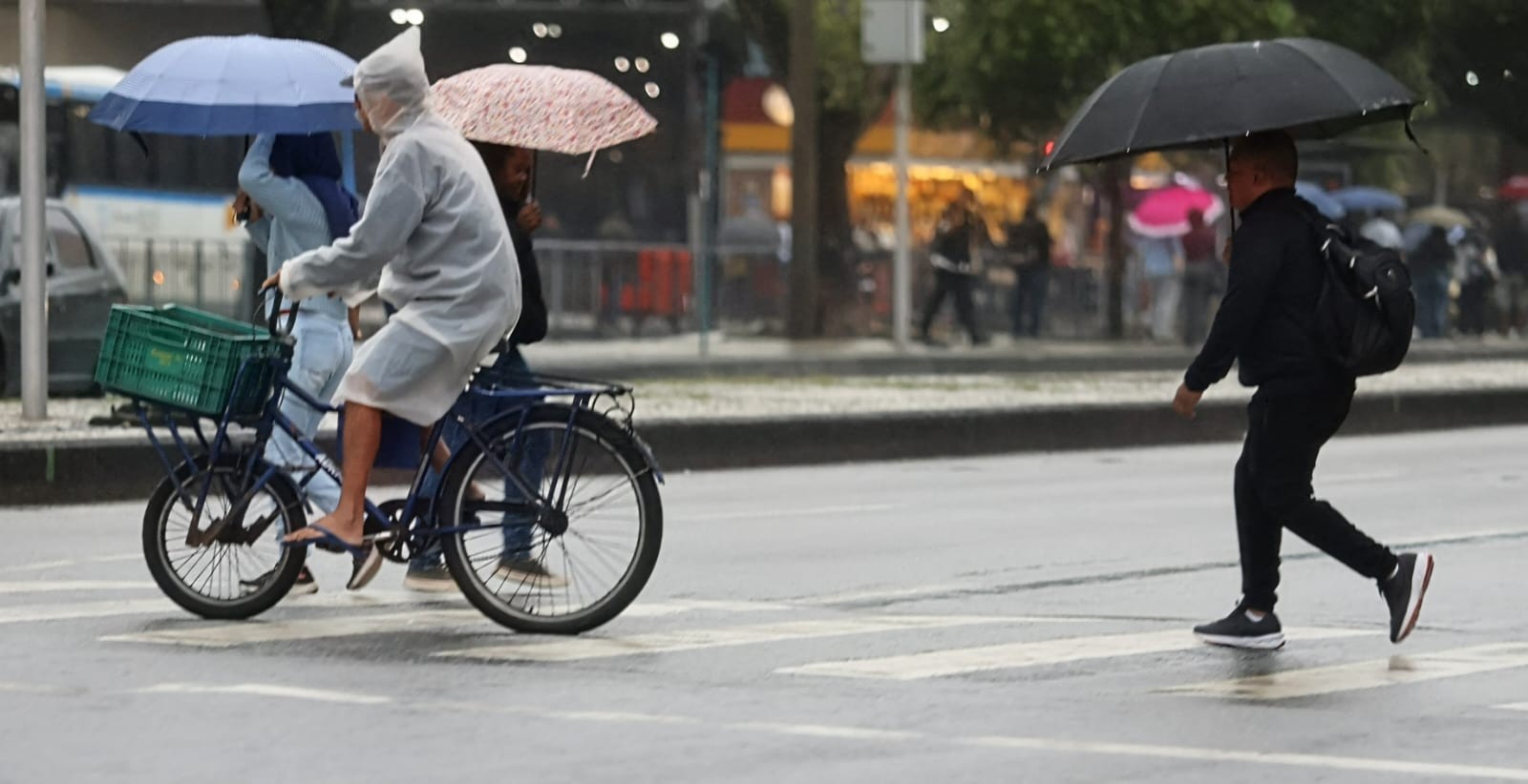 Sábado começa com chuva e quedas de árvores no Rio