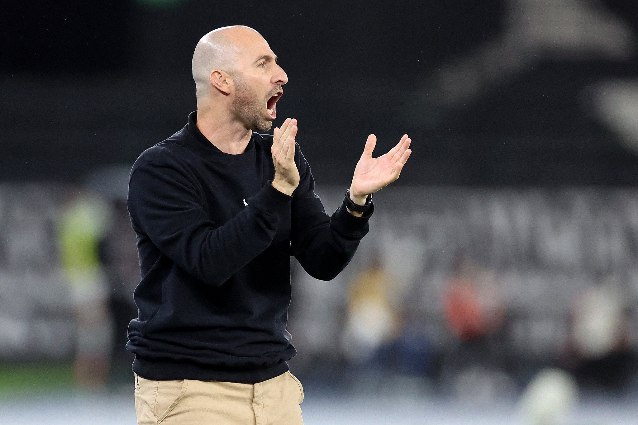 Bellão valoriza evolução do Botafogo contra o Palmeiras, mas destaca: 'Queremos o resultado'